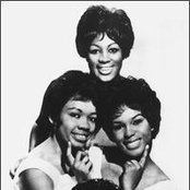 The Shirelles - List pictures