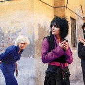 Siouxie - List pictures