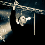 Born From Pain - List pictures