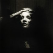 Marlene Dietrich - List pictures
