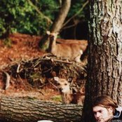 Karl Blau - List pictures