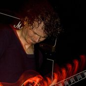 Pelican - List pictures