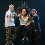 Tiro De Gracia - List pictures