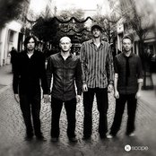 Pineapple Thief - List pictures