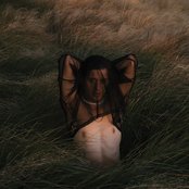 Arca - List pictures