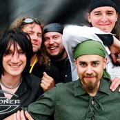 Falconer - List pictures