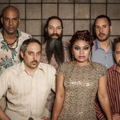 Dengue Fever - List pictures