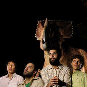 The Acorn - List pictures