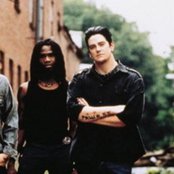 Primer 55 - List pictures