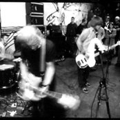 City Of Caterpillar - List pictures