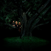 Au Revoir Simone - List pictures