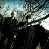 Evans Blue - List pictures