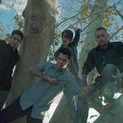 Midnight Panic - List pictures