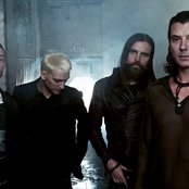 Bush - List pictures