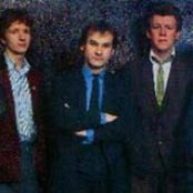 Squeeze - List pictures