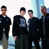 The Dingees - List pictures