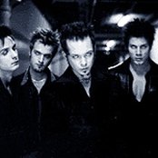 Virgos Merlot - List pictures