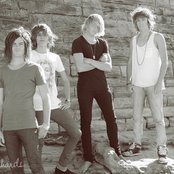 The Polaroid People - List pictures