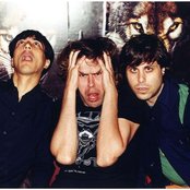 Liars - List pictures