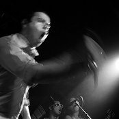 Davila 666 - List pictures