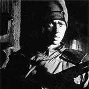 Boss - List pictures