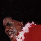 Screamin' Jay Hawkins - List pictures