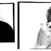 Sunny Day Real Estate - List pictures