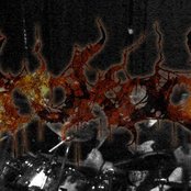 Krokodil - List pictures