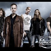 Falconer - List pictures