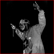 Flavor Flav - List pictures