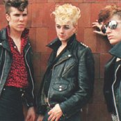 Stray Cats - List pictures