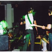 Antlers - List pictures