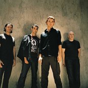 Bush - List pictures