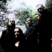 My Silent Wake - List pictures