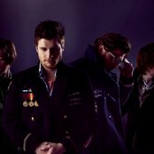 Seabird - List pictures