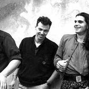 Litfiba - List pictures