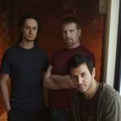 Cynic - List pictures