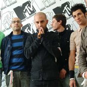 Negramaro - List pictures