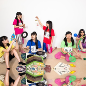 Team Syachihoko - List pictures