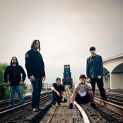 Allele - List pictures