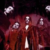 Stereomud - List pictures