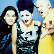 Daze - List pictures