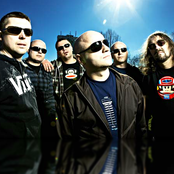 Hladno Pivo - List pictures