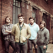 Seabird - List pictures