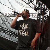 Project Pat - List pictures