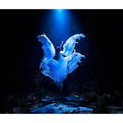 Aimer - List pictures