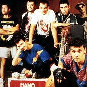 Mano Negra - List pictures