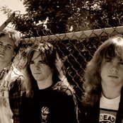 Cryptic Slaughter - List pictures