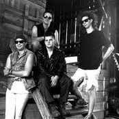 Elvis Hitler - List pictures