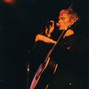 Black Lab - List pictures